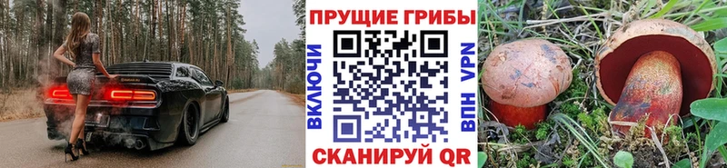 Галлюциногенные грибы GOLDEN TEACHER что такое Ахтырский